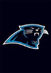 CAROLINA PANTHERS APPLIQUED GARDEN FLAG