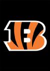 CINCINNATI BENGALS APPLIQUED GARDEN FLAG