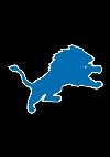 DETROIT LIONS APPLIQUED GARDEN FLAG