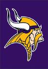 MINNESOTA VIKINGS APPLIQUED GARDEN FLAG