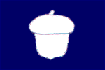 TREASURER 12 X 18 FLAG