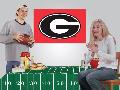 Georgia Bulldogs Party Kit