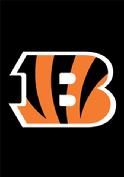 CINCINNATI BENGALS APPLIQUED GARDEN FLAG