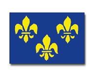 FLEUR DE LIS 3X5 FLAG