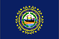 NEW HAMPSHIRE STATE FLAG