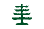 PINE TREE HISTORICAL FLAG